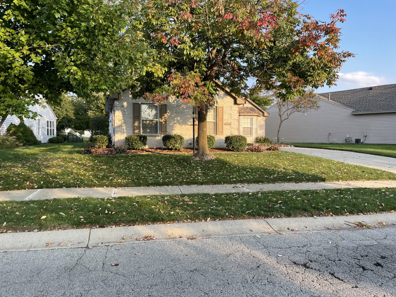 IMG 1812