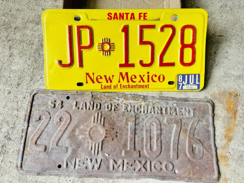 3009
