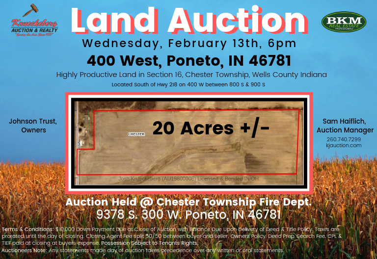 Land auction 3