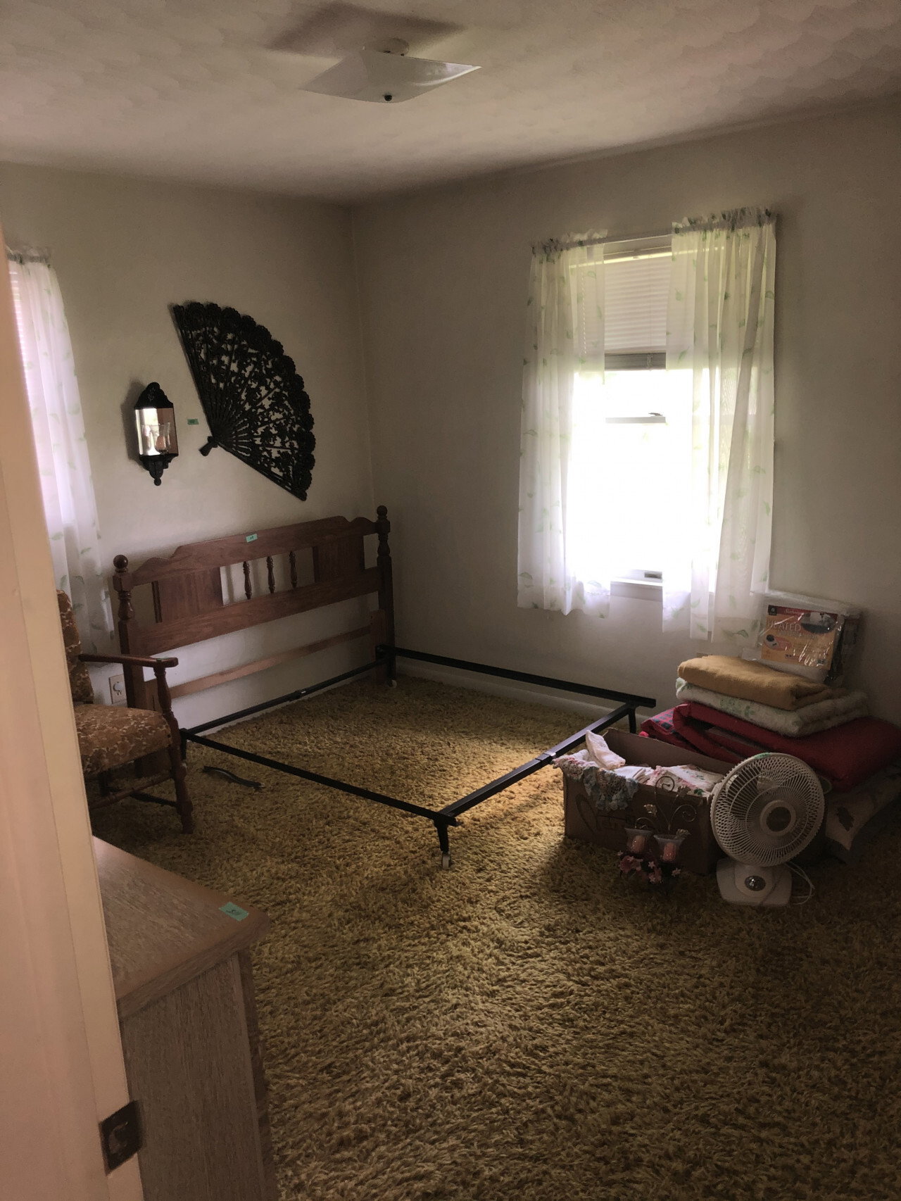 IMG 0342