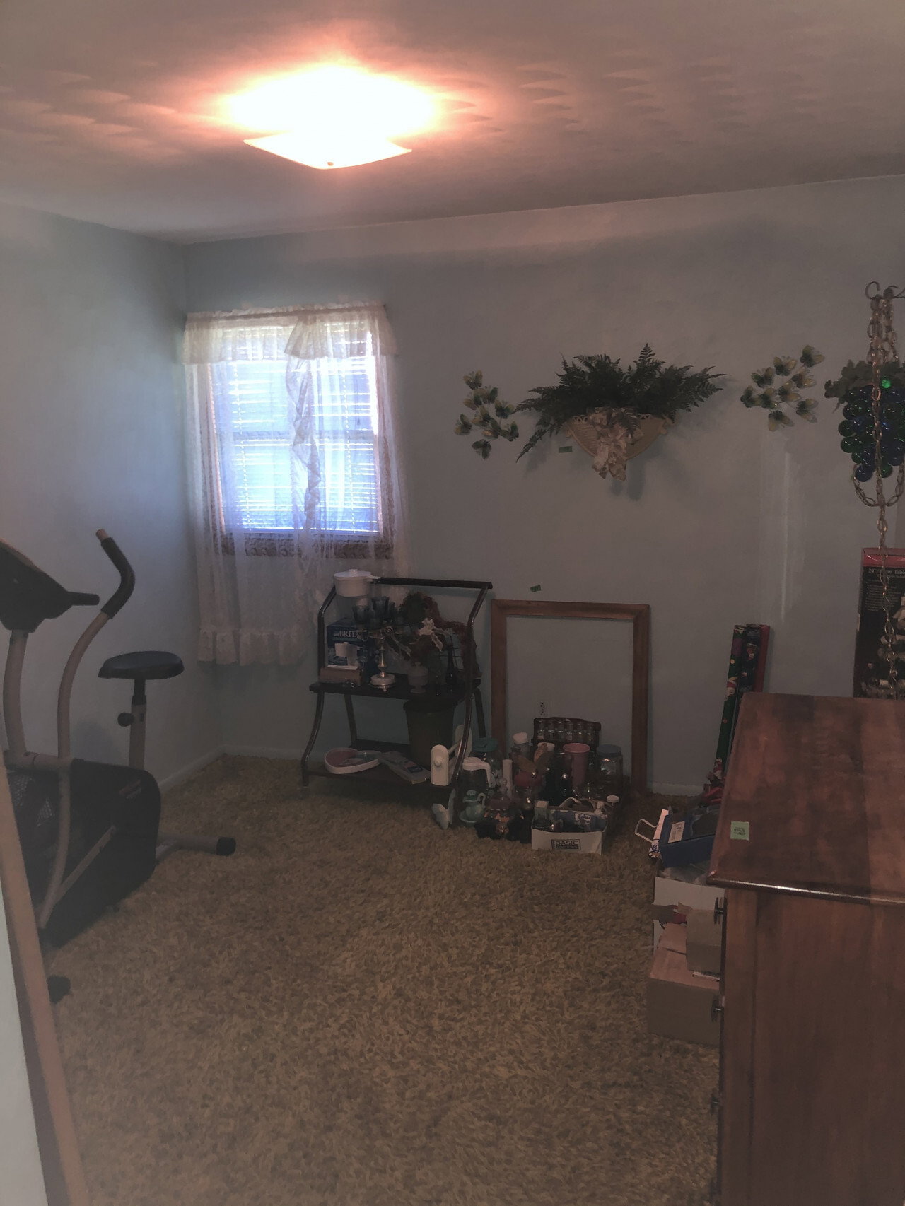 IMG 0344