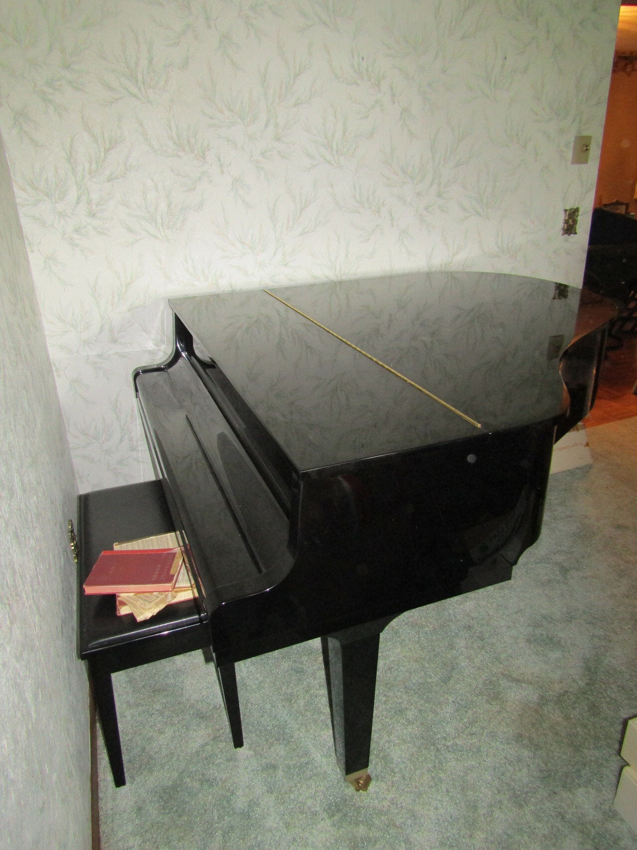 IMG 7861