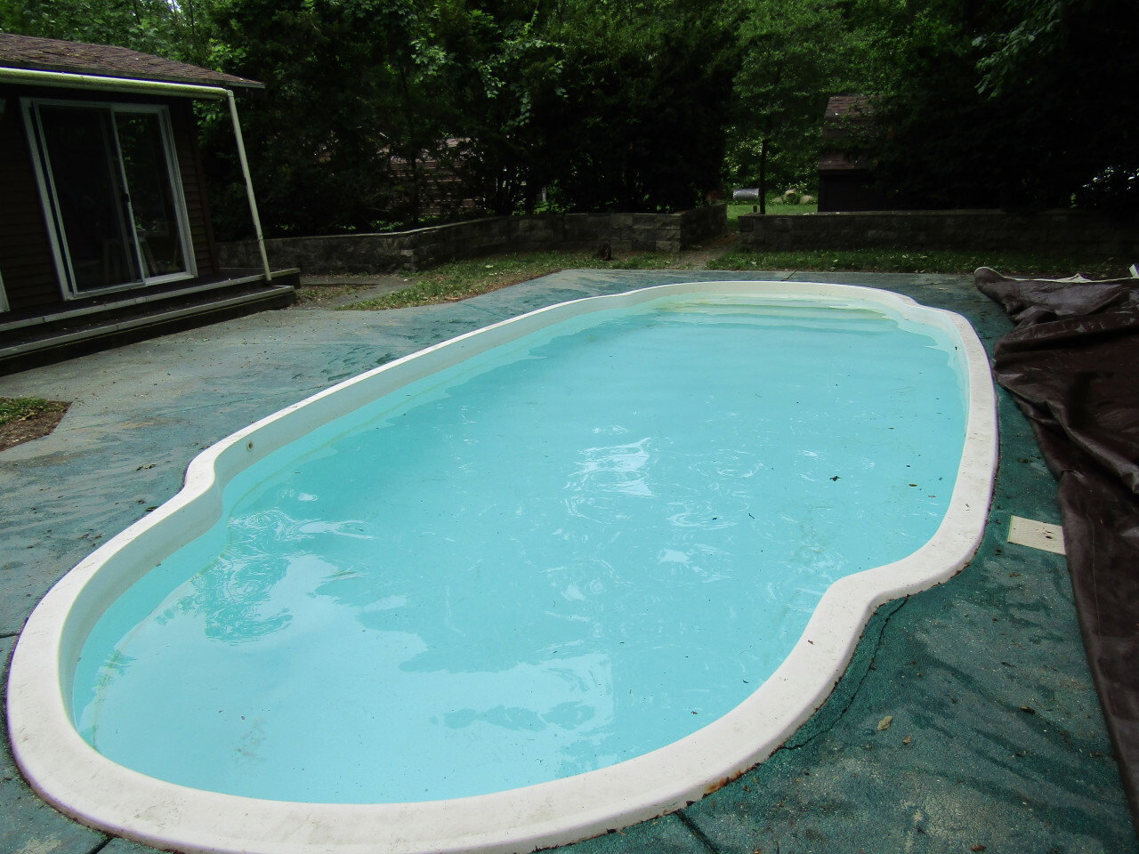 IMG 7982