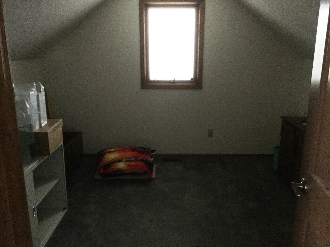 IMG 0992