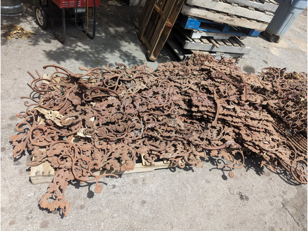 PXL 20240604 173239352