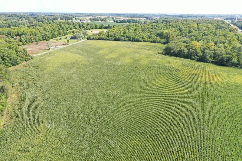 DJI 0965