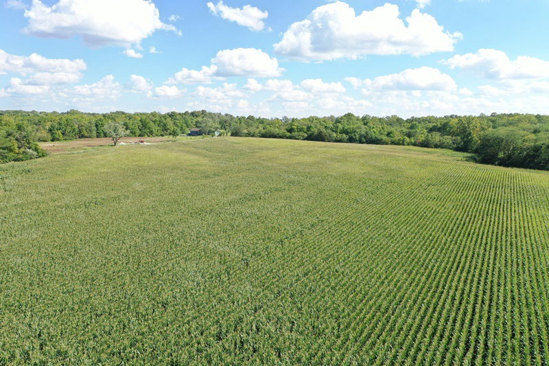 DJI 0966