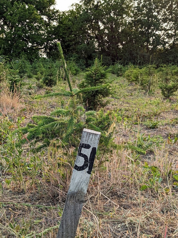 13 1