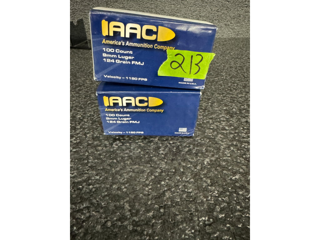 213 1