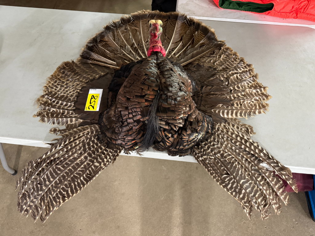 258 1