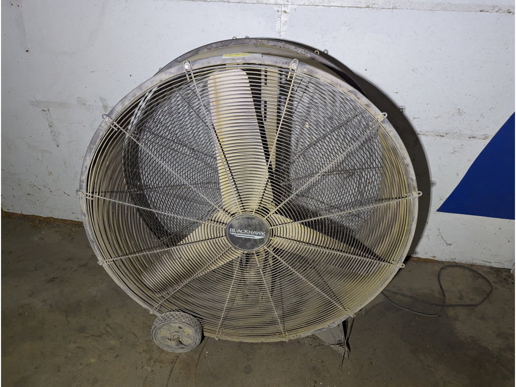 524