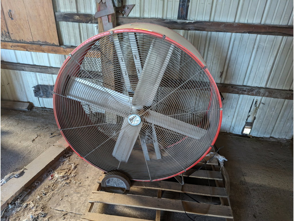 82