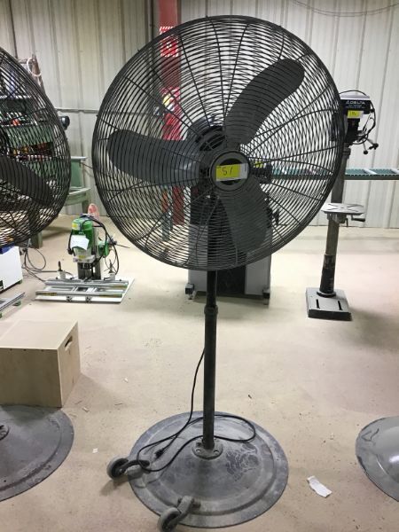 51