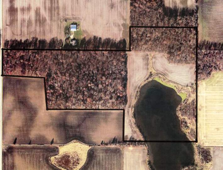 Land auction 4