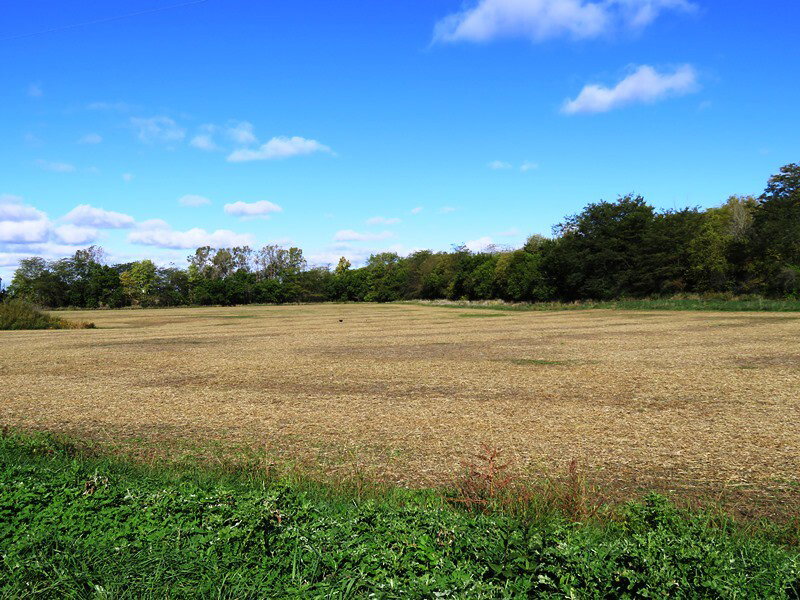 Land auction 12