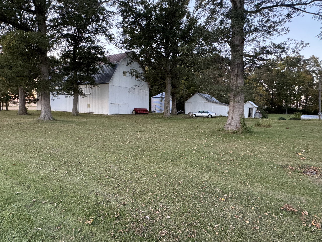 IMG 1645