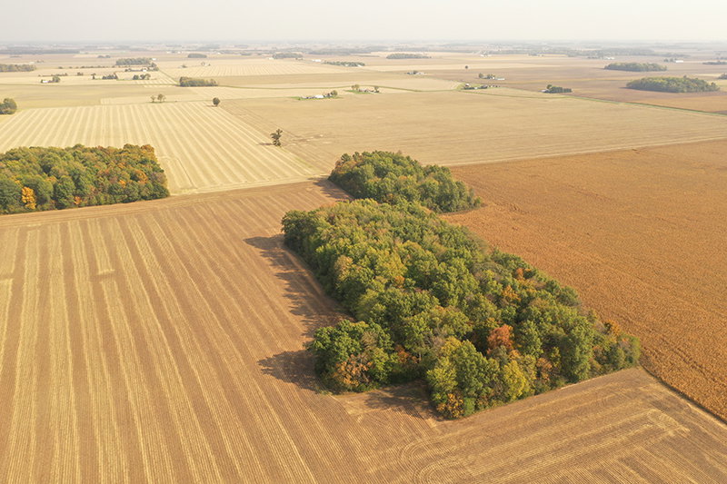 Van wert