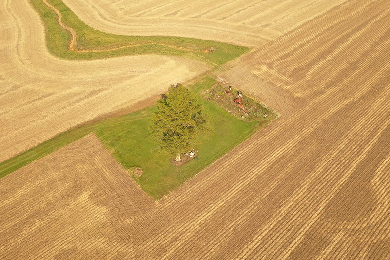 Vanwert2
