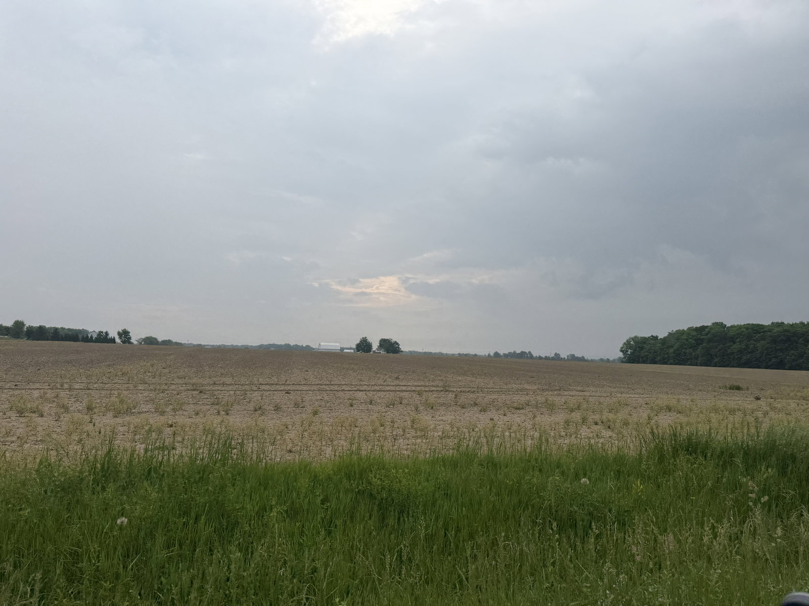 IMG 7455