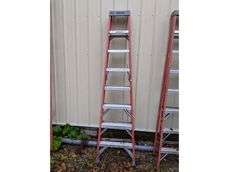 259
