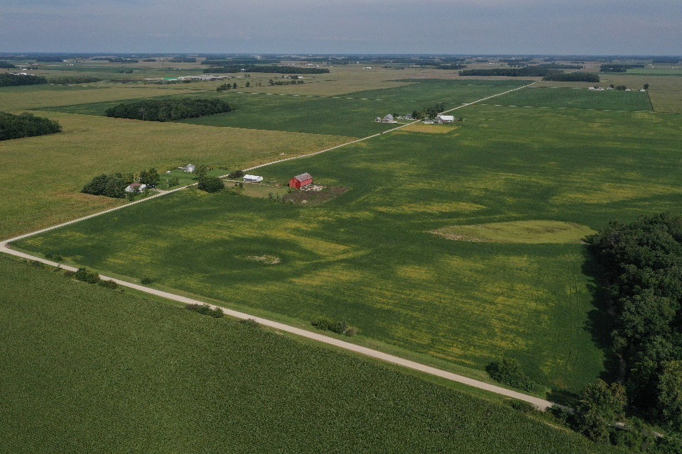 IMG 3992