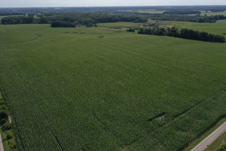 IMG 3994