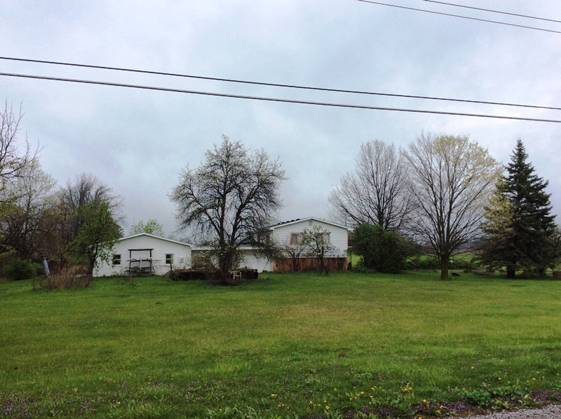 Manes auction real estate and personal property 1