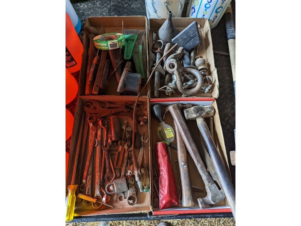PXL 20220323 162606905