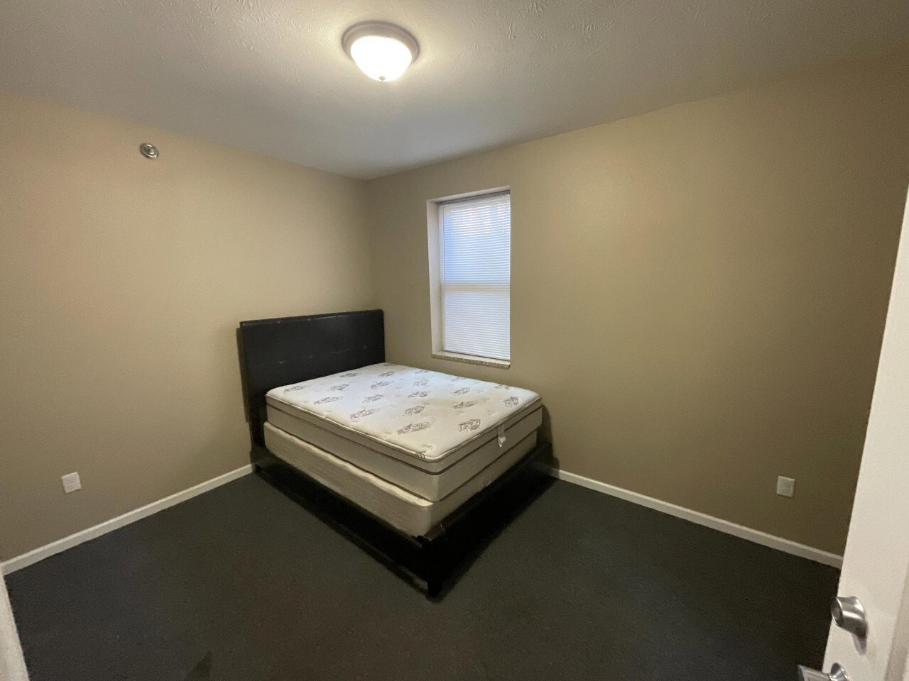 IMG 1702