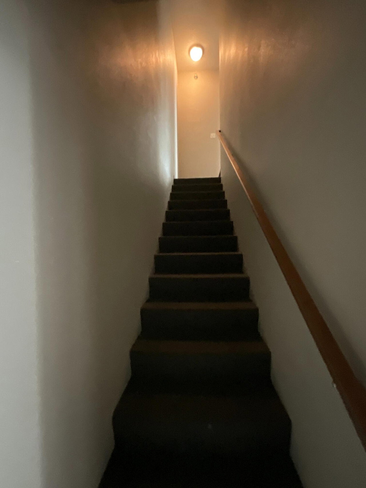 IMG 1999