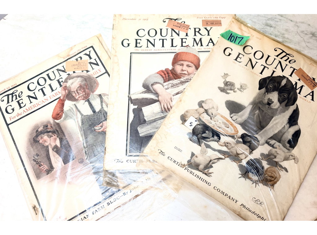1017
