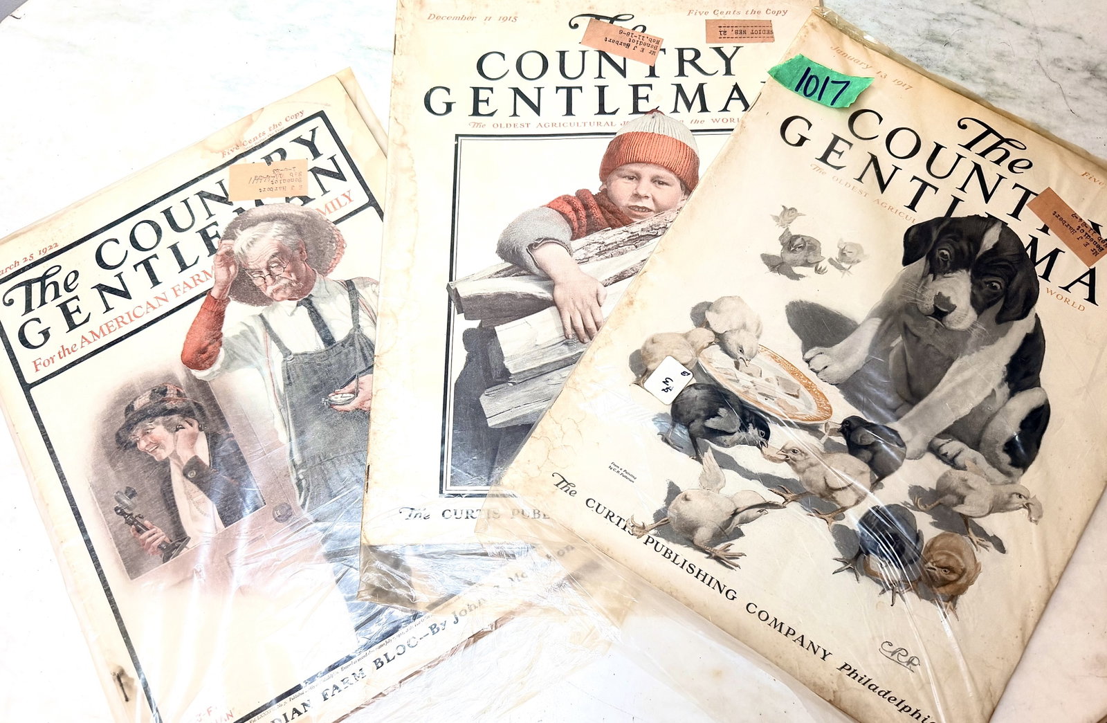 1017