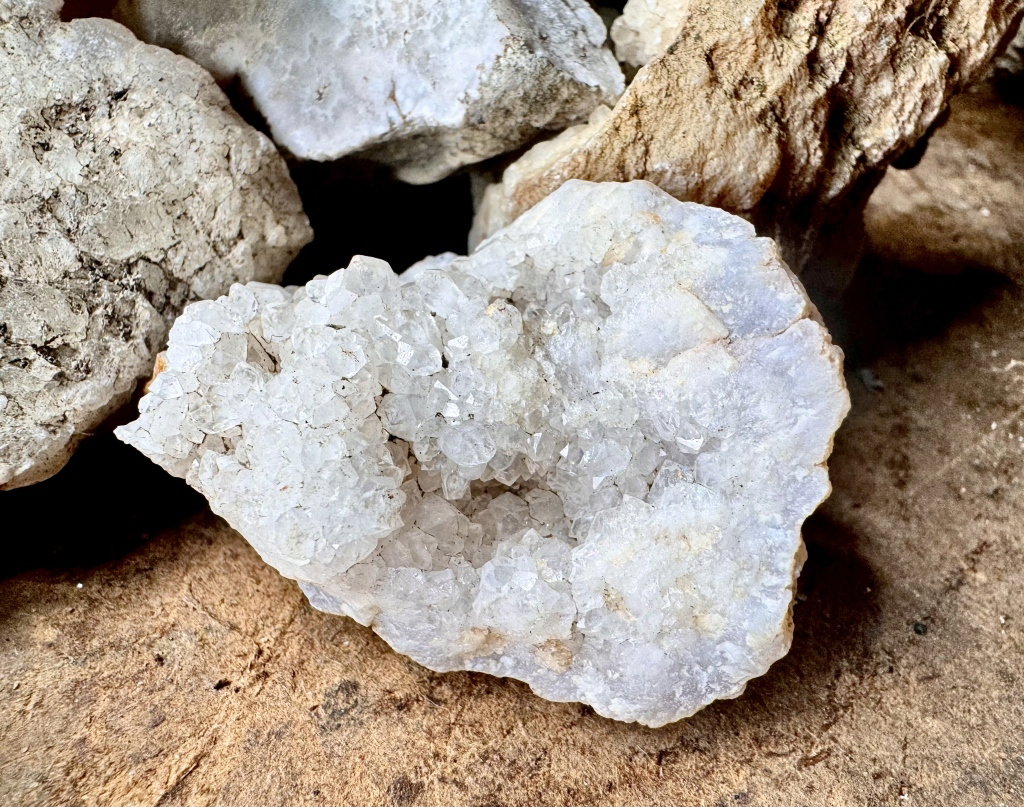 4509