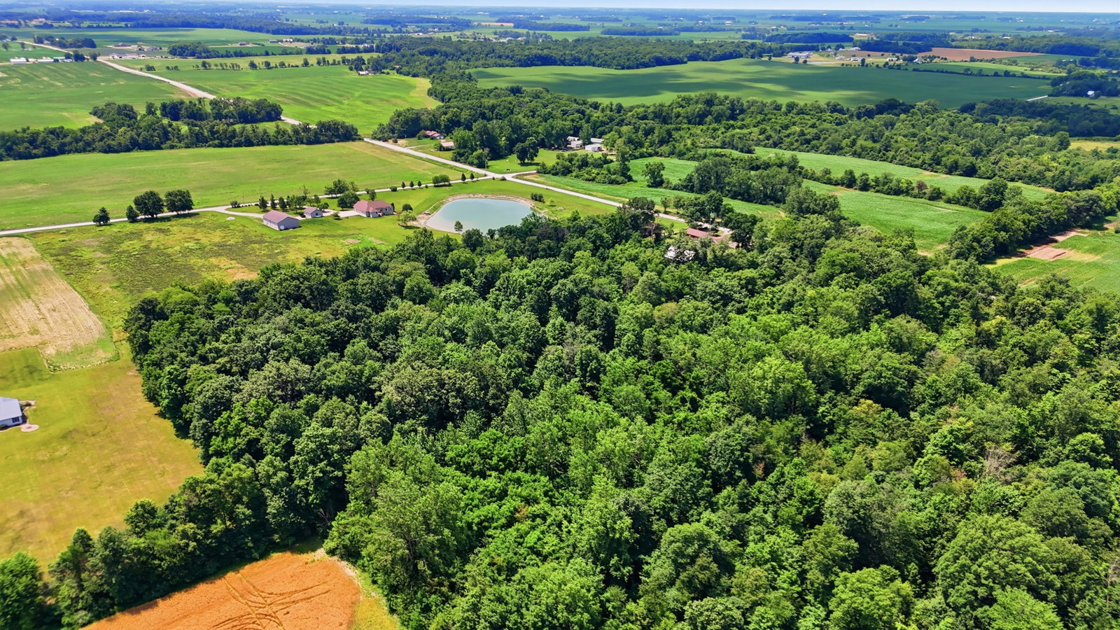 46 web or mls DJI 20260709125532 0032 D