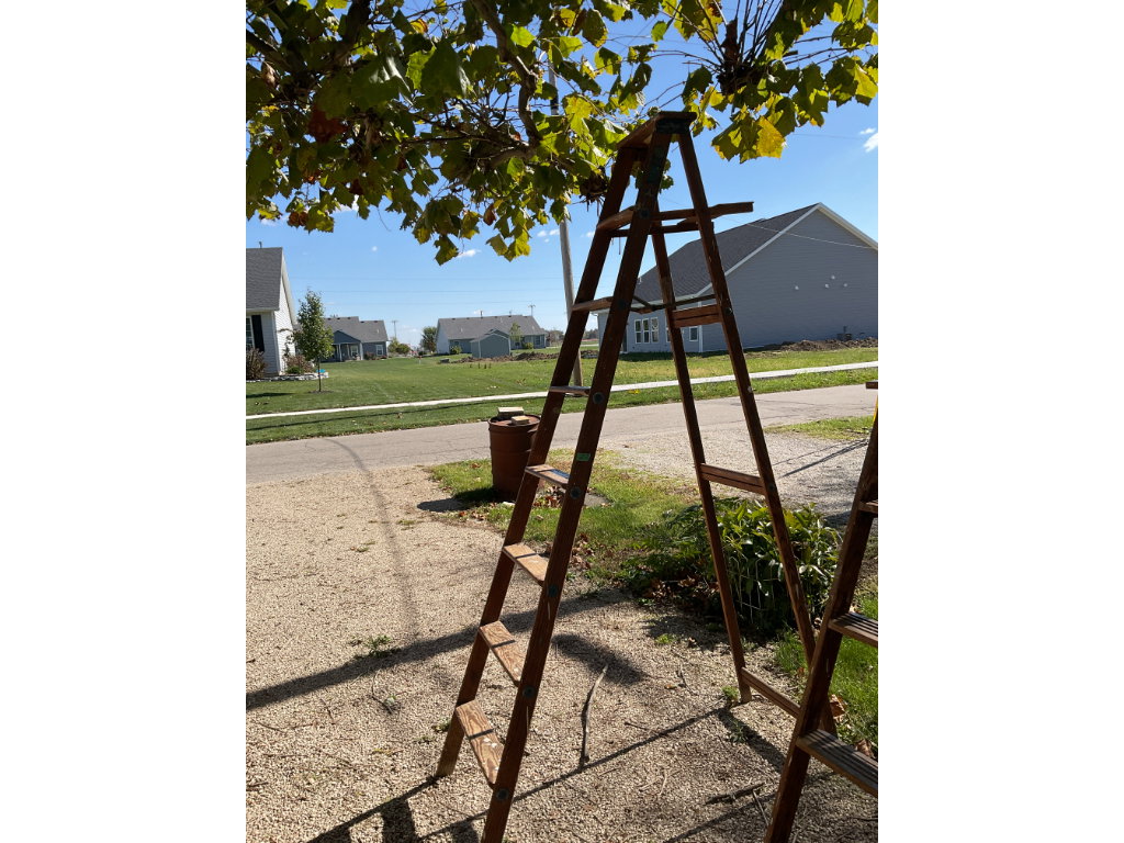 257 1