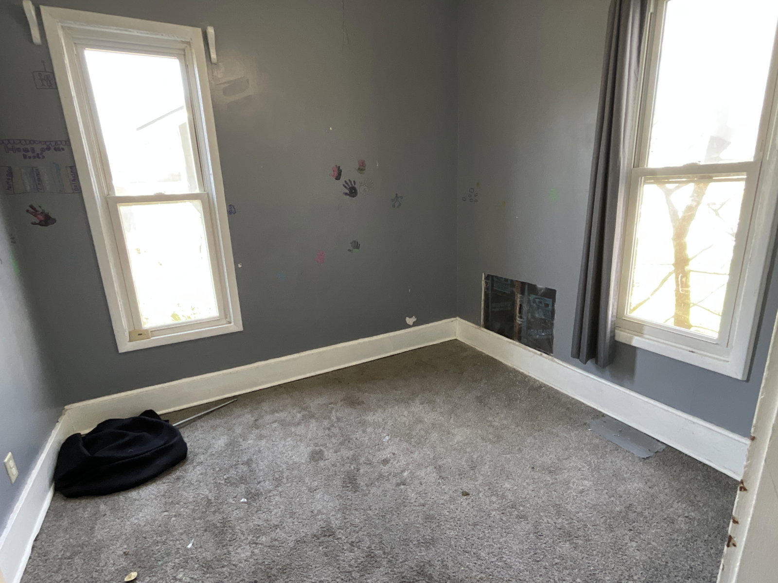 IMG 1532
