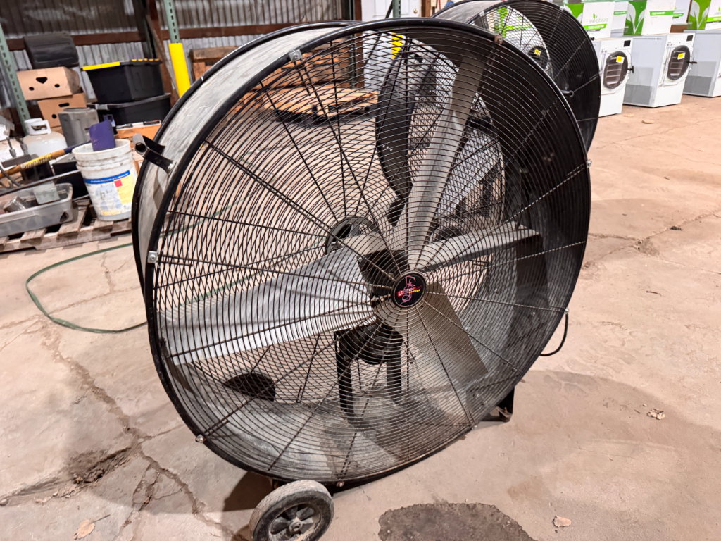 6169