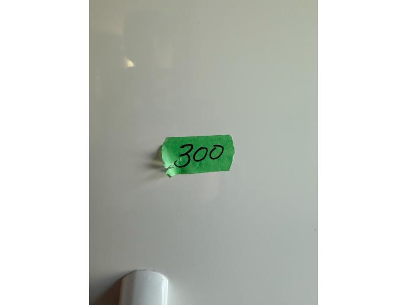 300 1