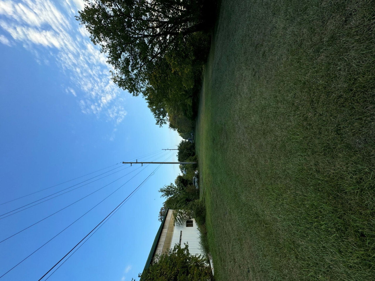 IMG 0955