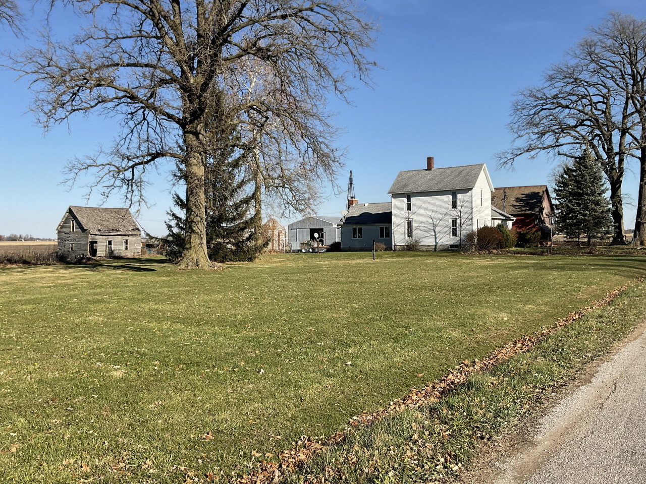 IMG 0263