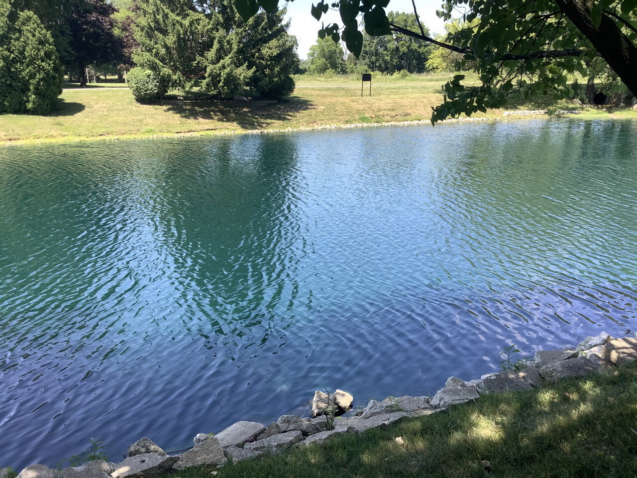 IMG 0288