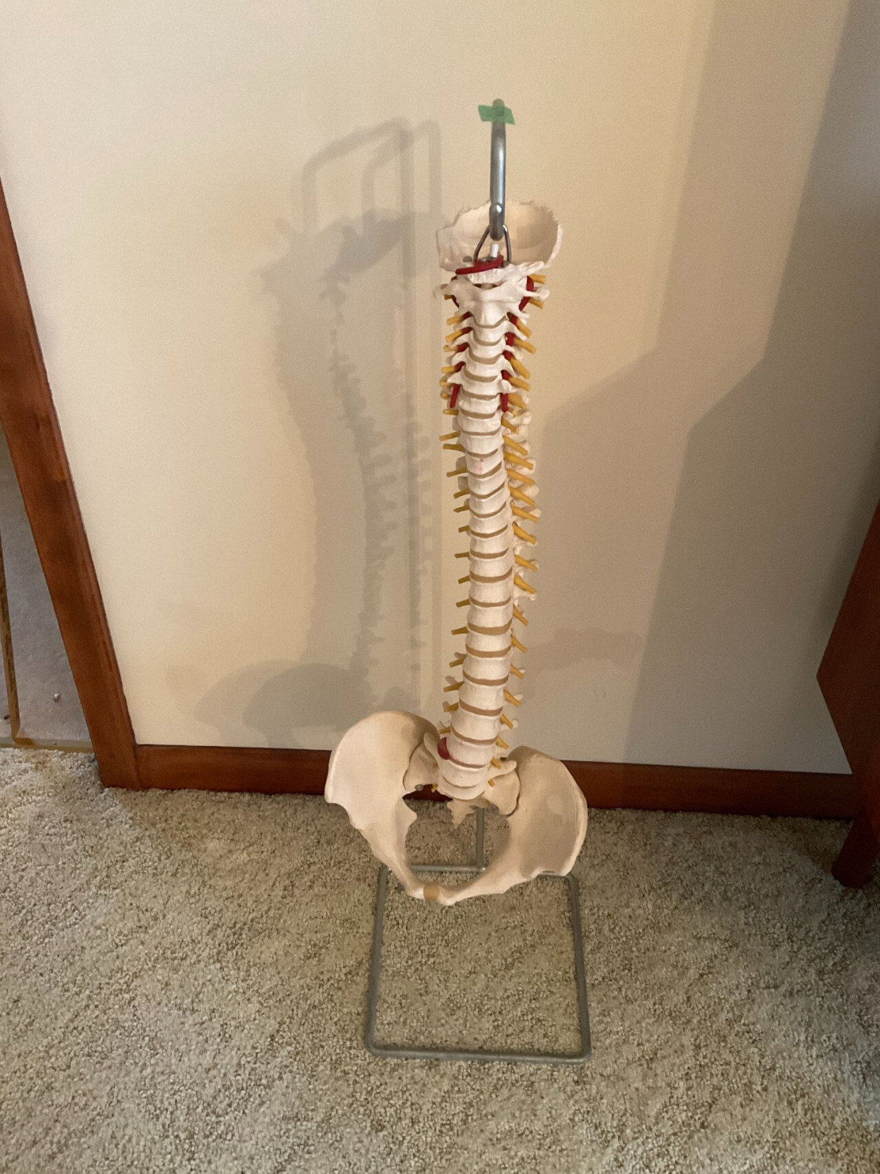 170 1