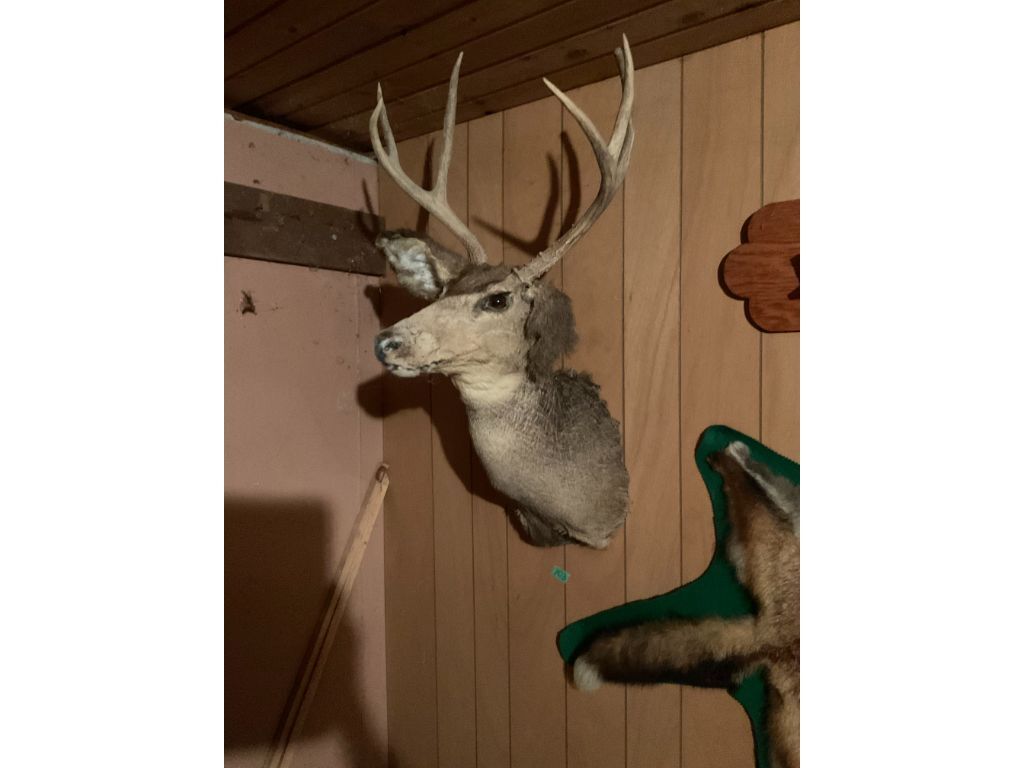 103 1