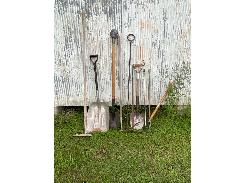 258 1