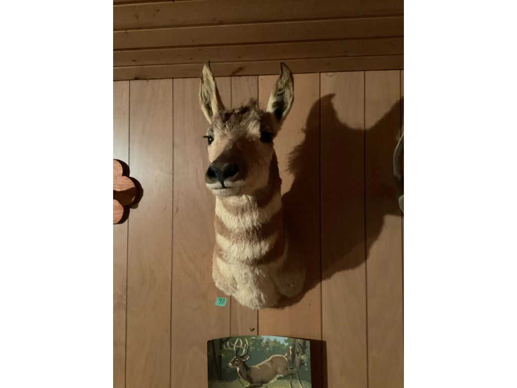 97 1