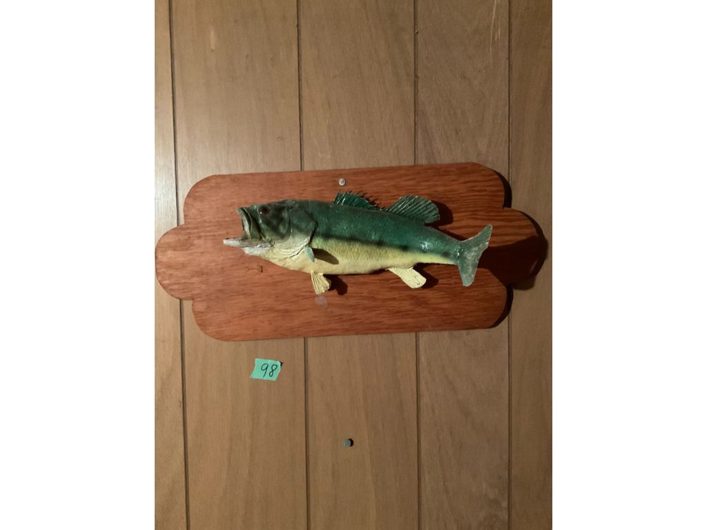 98 1