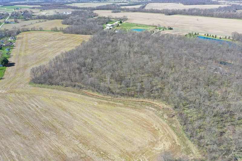 DJI 0861