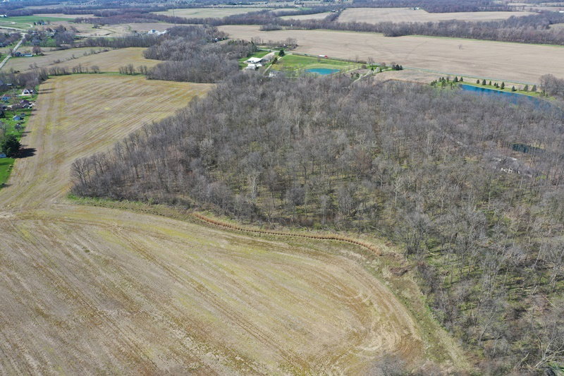 DJI 0862