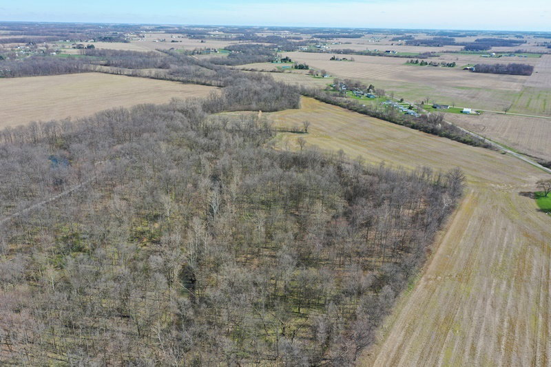 DJI 0864