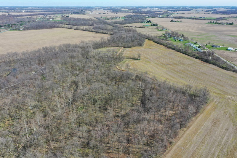 DJI 0865